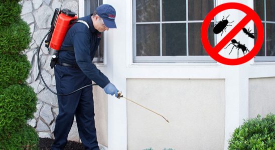 Rize Dezenfeksiyon böcek ilaçlama ve haşere kontrolü — ilaclama-tr.com